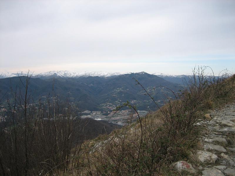 IMG_2336.JPG