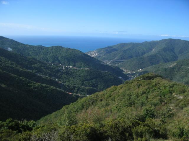 IMG_0012.jpg