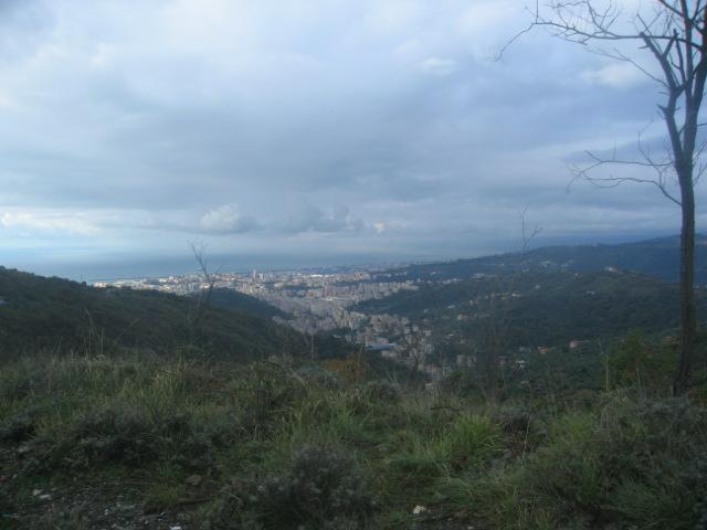 IMG_0050.jpg