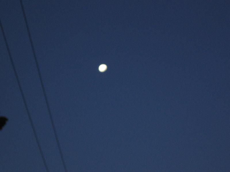 IMG_0002.jpg