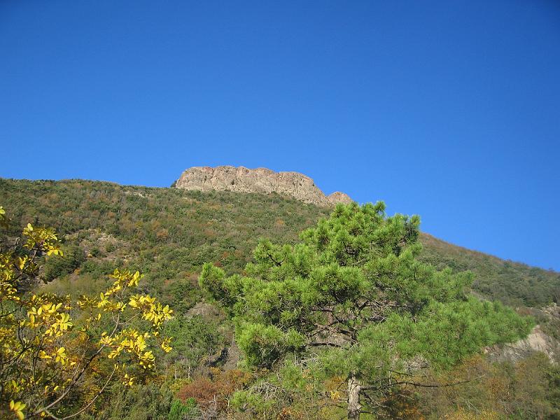 IMG_0012.jpg