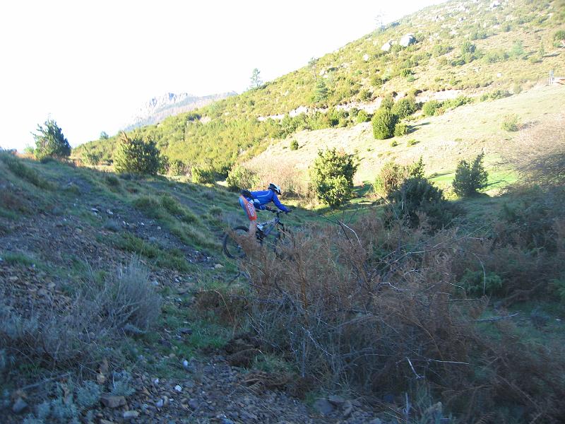 IMG_0038.jpg