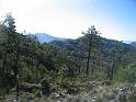 IMG_0067
