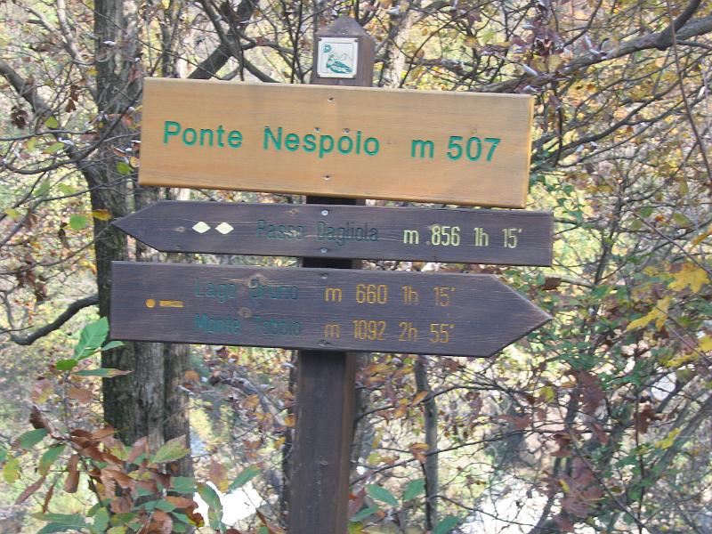 IMG_0047.jpg