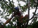 DSCN7959