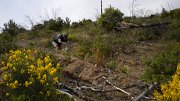 DSCN1085