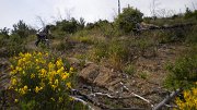 DSCN1087
