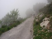 P5020021