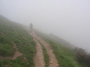P5020031
