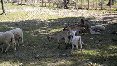 DSCN1131
