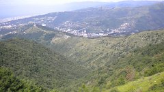 DSCN1146