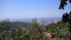 DSCN1183
