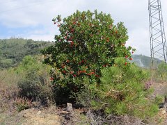 PA030103
