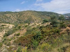 PA030107