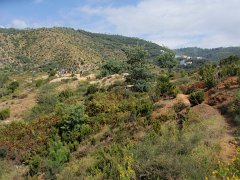 PA030109
