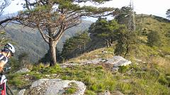 DSCN2727