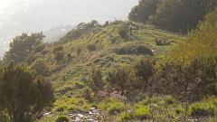 DSCN2744