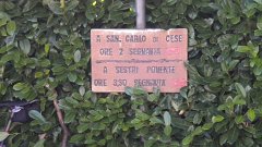 DSCN1869