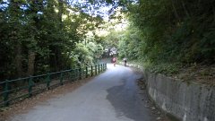 DSCN1880