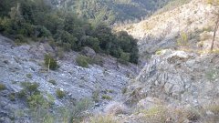 DSCN1888