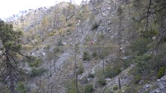 DSCN1892