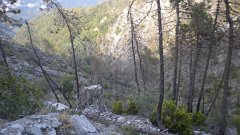 DSCN1893
