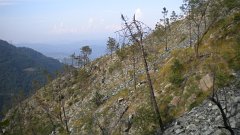DSCN1896
