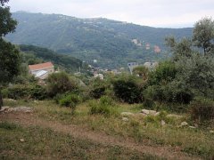 P8120052