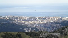 DSCN2193