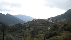 DSCN3061