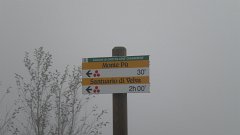 DSCN3069