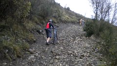 DSCN3080
