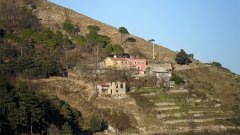 SAM_0128