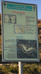 SAM_0134