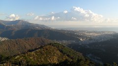 SAM_0135