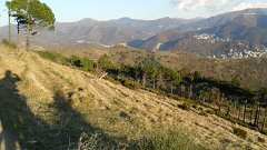 SAM_0136