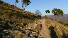 SAM_0137