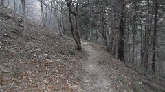SAM_0138