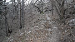 SAM_0139