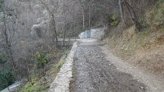 SAM_0142