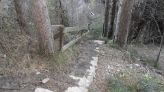 SAM_0143