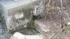 SAM_0145