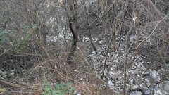 SAM_0146