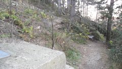 SAM_0147
