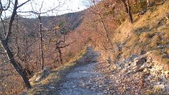 SAM_0152