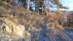 SAM_0153