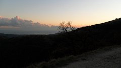 SAM_0156