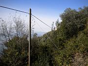 DSCN0106