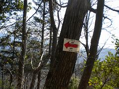 DSCN0442