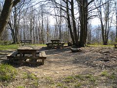 DSCN0444